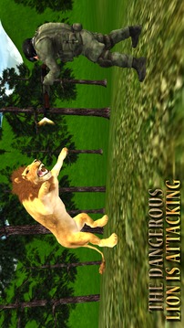 Lion Hunting - Jungle Animal Hunter 3D 2018游戲截圖2