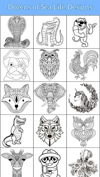 動物著色書2018年游戲截圖4