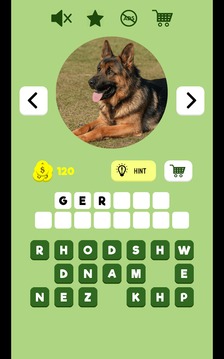 Dogs Quiz - Guess The Dog Breed游戲截圖2