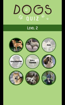 Dogs Quiz - Guess The Dog Breed游戲截圖4