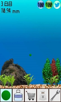 まりもっち游戲截圖3