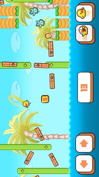 Birdy McFly : Run And Fly Over It!游戏截图3