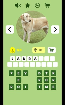 Dogs Quiz - Guess The Dog Breed游戲截圖3