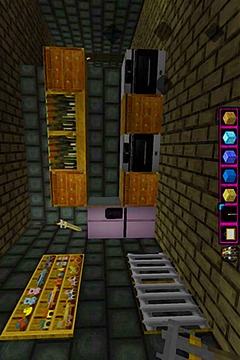 Maps Min Craft Story Tips游戲截圖2