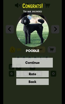 Dogs Quiz - Guess The Dog Breed游戲截圖1