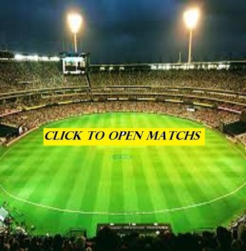 Fantasy cricket tips 11游戲截圖3