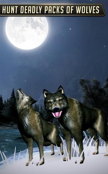 Wild Animal Safari Hunting with Hunter Dog游戲截圖1