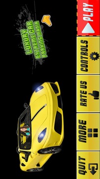豪華車停車場(chǎng)游戲：3d停車狂熱游戲截圖4