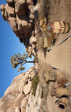 Escape Puzzle: Rocky Desert游戲截圖3