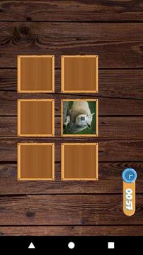 Match The Pairs游戲截圖3