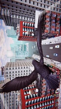 San Andreas Flying Bird游戲截圖3