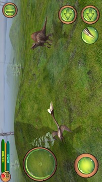 Pterosaur Flight Simulator 3D游戲截圖5