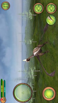 Pterosaur Flight Simulator 3D游戏截图2