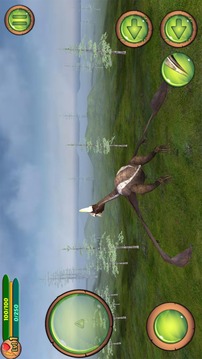 Pterosaur Flight Simulator 3D游戲截圖2