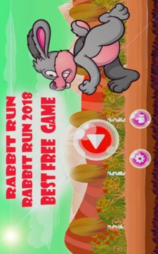Bunny Run Game游戲截圖2