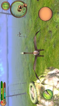 Pterosaur Flight Simulator 3D游戏截图3