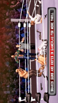 RUMBLE WRESTLING MANIA: ROYAL REVOLUTION WRESTLING游戲截圖4