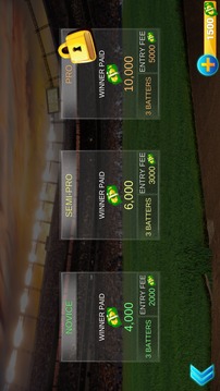 BaseBall Challenge Game - 2017游戲截圖1