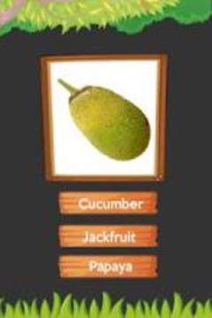 Fruits Name A-Z游戲截圖5