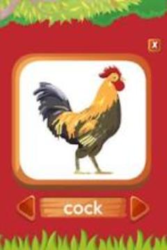 Animals, Birds and Insects name A-Z游戲截圖5