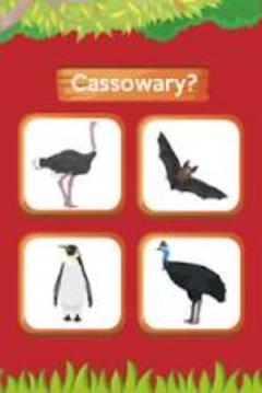 Animals, Birds and Insects name A-Z游戲截圖2