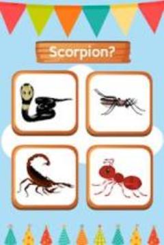 Animals, Birds and Insects name A-Z游戲截圖3