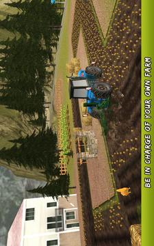 Professional World Farmer游戲截圖2