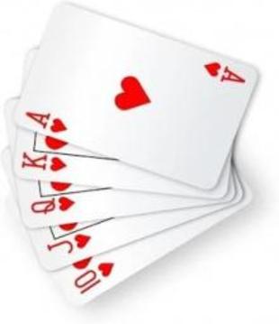 Twenty nine 29 Merriage Card Game游戲截圖3