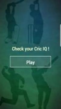 Real Game Cricket 2018游戲截圖4