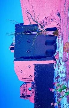Escape Game - Desert Camel游戲截圖3
