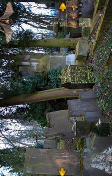 Escape Game-Abandoned Cemetery游戲截圖1