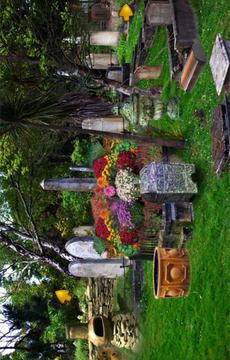 Escape Game-Abandoned Cemetery游戲截圖3