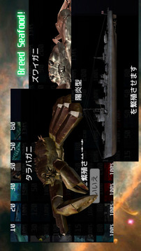 ACE OF SEAFOOD游戲截圖3