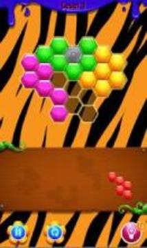 Tiger Hexagon Puzzle游戲截圖2