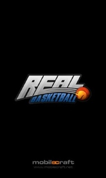 真實籃球Real游戲截圖5