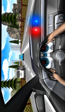 Police Driving In Car游戲截圖3
