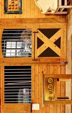 Escape Games-Locked Horse Farm游戲截圖3