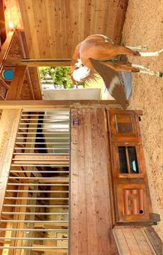 Escape Games-Locked Horse Farm游戲截圖5