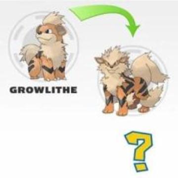 Quiz Poke Evolution游戲截圖2