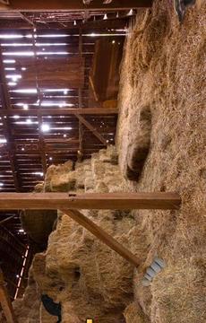 Escape Game Farm Escape游戲截圖3