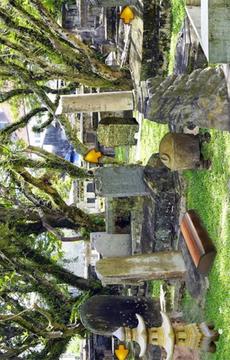Escape Game-Abandoned Cemetery游戲截圖4
