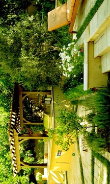 Charming Lawn Escape游戲截圖4