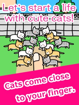 Play with Cats游戲截圖5