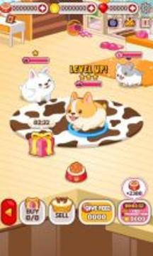 Animal Judy: Welsh Corgi care游戲截圖2