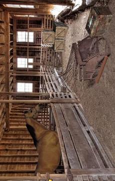 Escape Game Farm Escape游戲截圖5