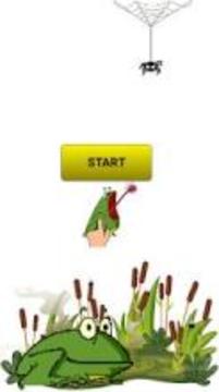 Tap Frog Shot Spider游戏截图4