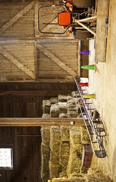 Escape Game Farm Escape游戲截圖4
