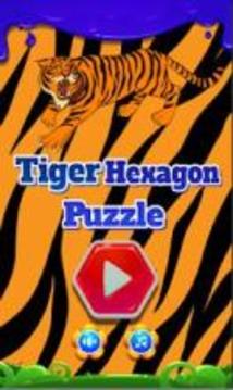 Tiger Hexagon Puzzle游戲截圖5