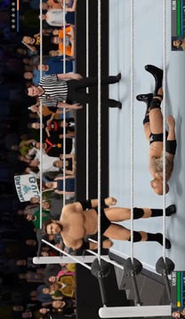 Fight WWE Action游戲截圖1