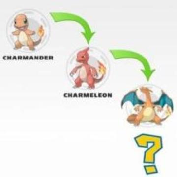 Quiz Poke Evolution游戲截圖4
